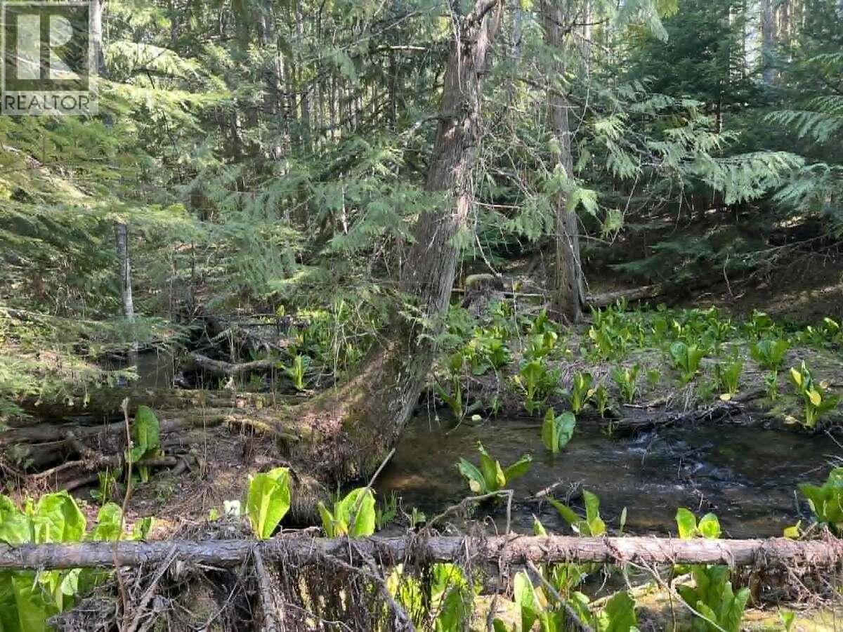 1325 Lakeview Arrow Creek Road, Creston, British Columbia  V0B 1G9 - Photo 38 - 10386314