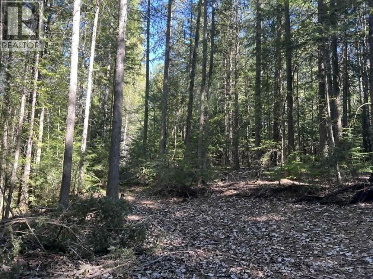 1325 Lakeview Arrow Creek Road, Creston, British Columbia  V0B 1G9 - Photo 42 - 10386314