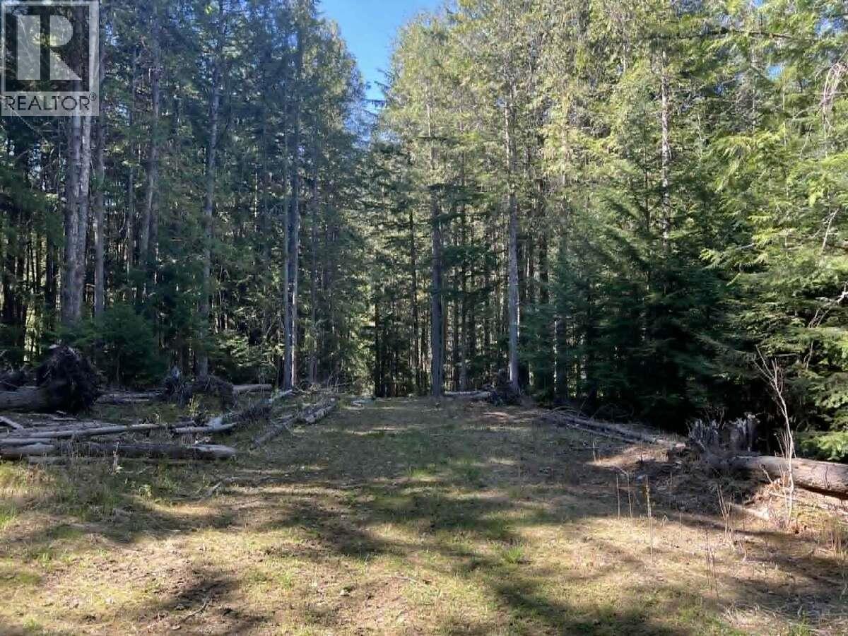 1325 Lakeview Arrow Creek Road, Creston, British Columbia  V0B 1G9 - Photo 43 - 10386314