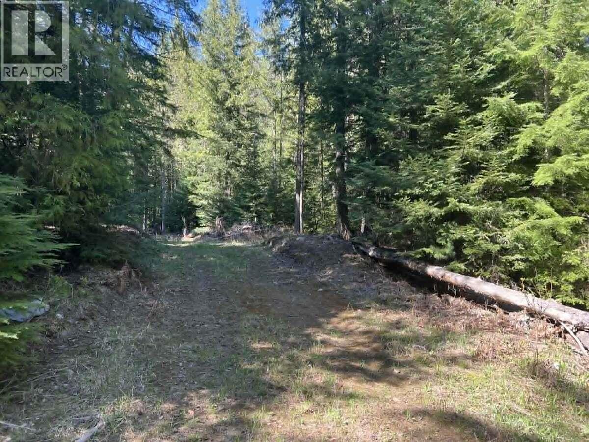 1325 Lakeview Arrow Creek Road, Creston, British Columbia  V0B 1G9 - Photo 44 - 10386314
