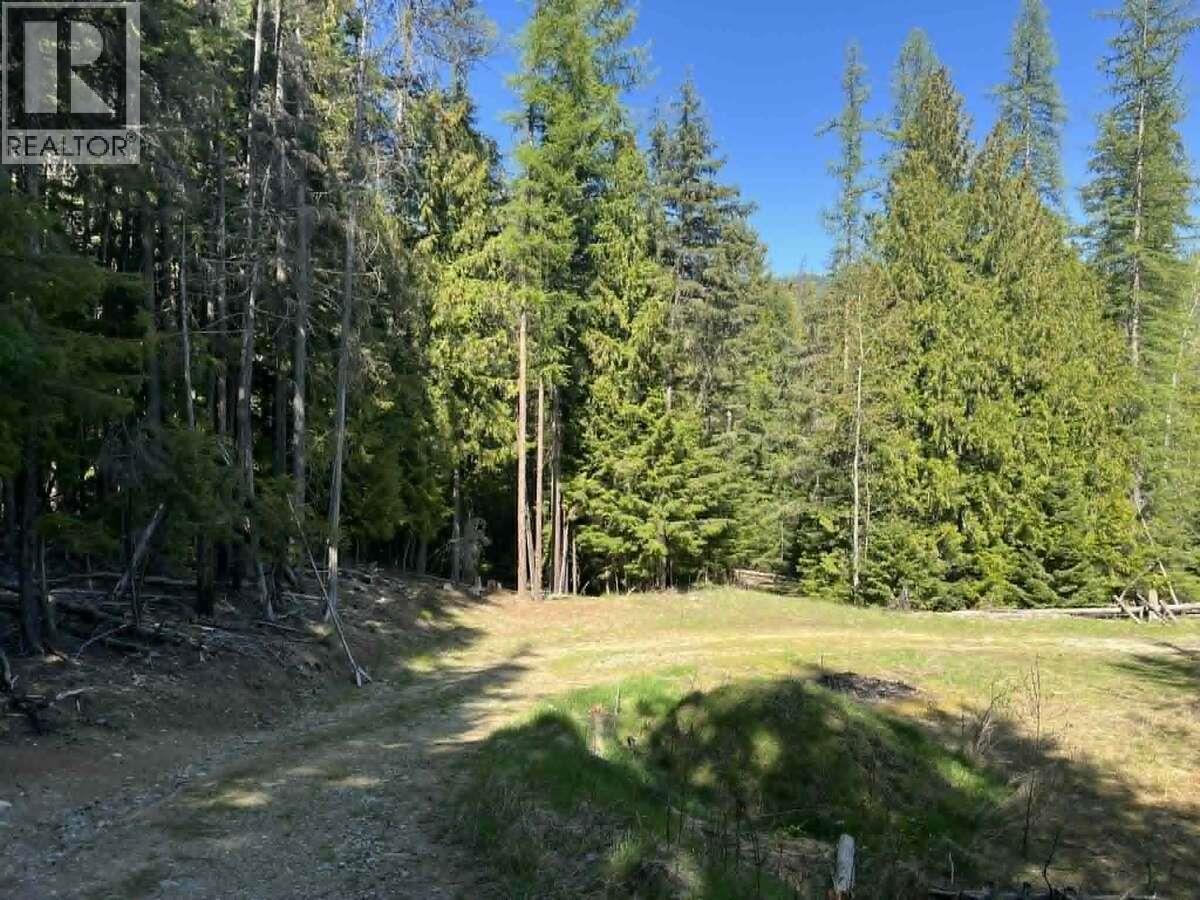 1325 Lakeview Arrow Creek Road, Creston, British Columbia  V0B 1G9 - Photo 45 - 10386314