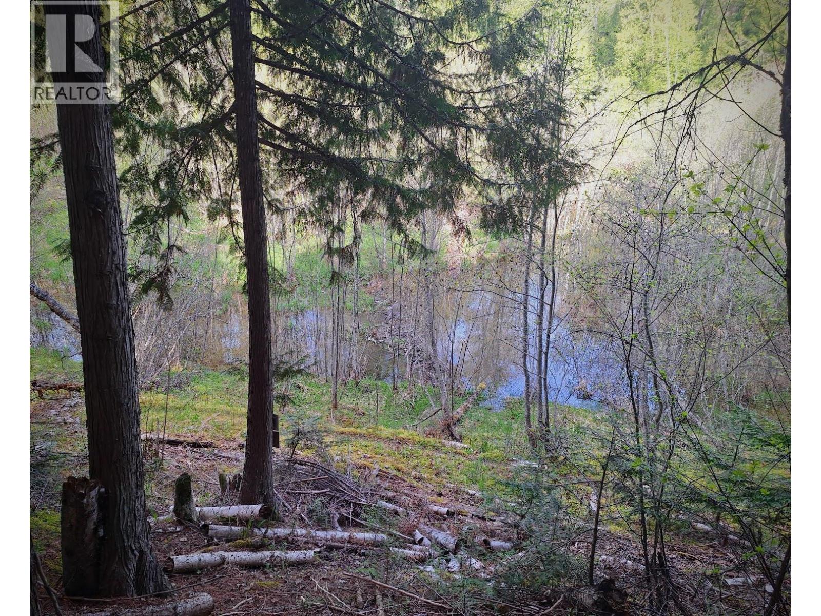 4039 Zapp Road, Canyon, British Columbia  V0B 1C1 - Photo 34 - 10384095