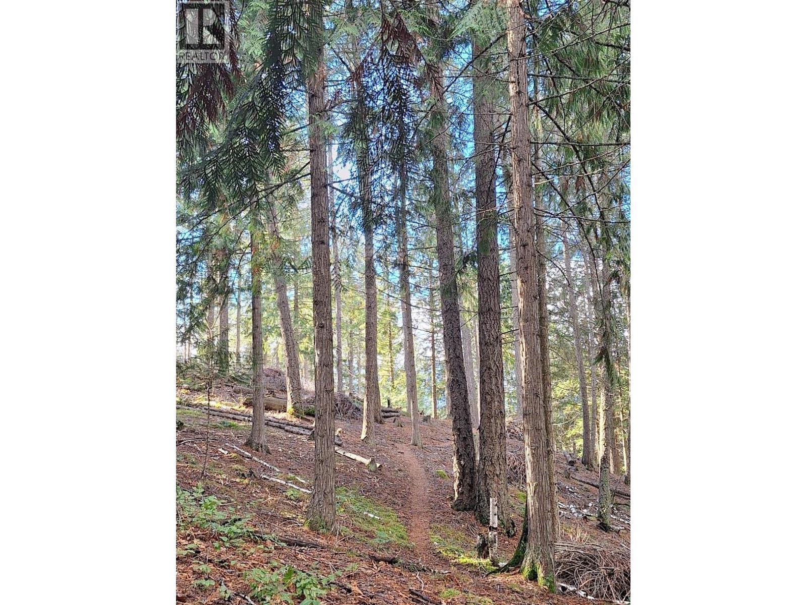 4039 Zapp Road, Canyon, British Columbia  V0B 1C1 - Photo 36 - 10384095