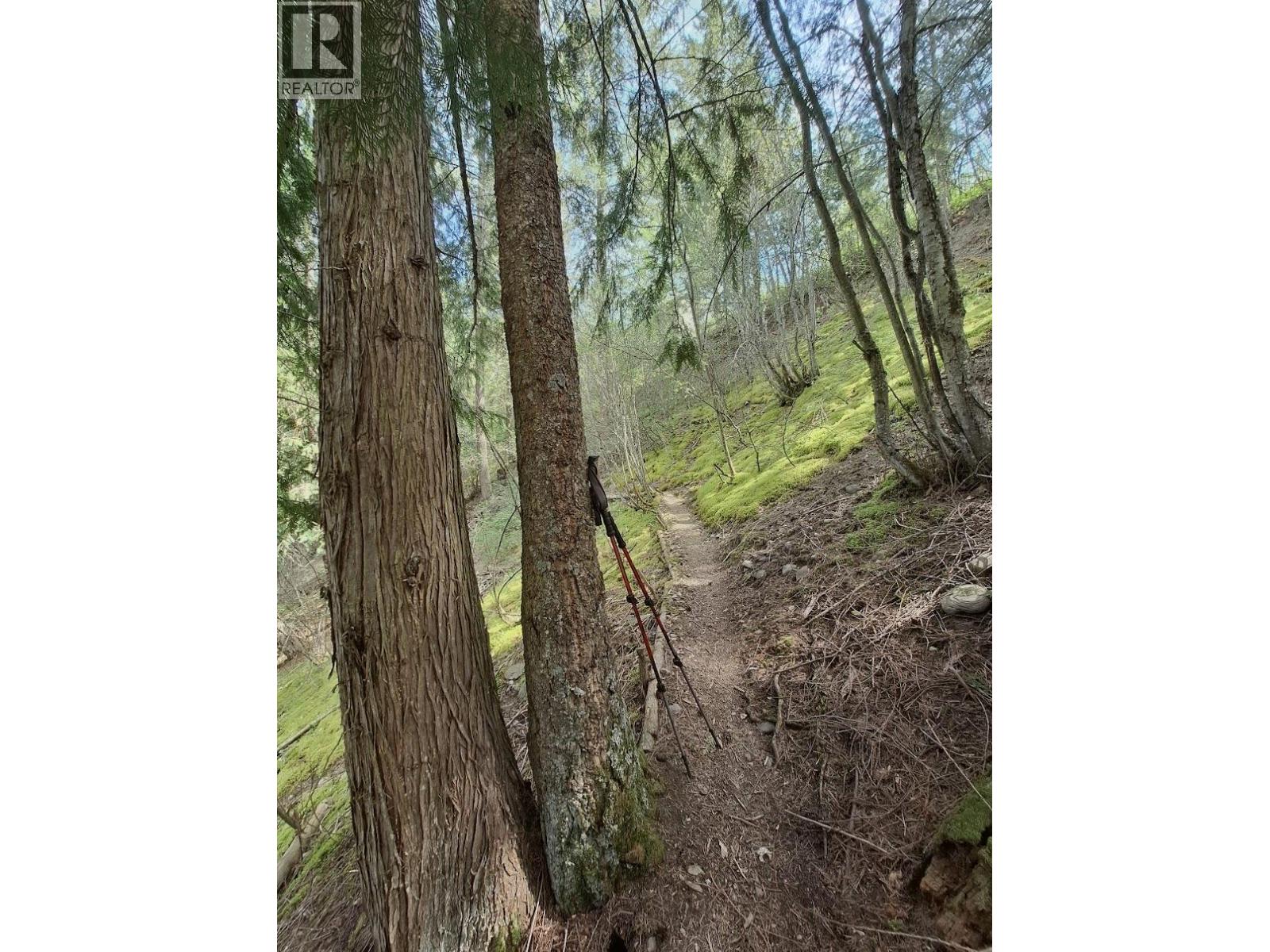 4039 Zapp Road, Canyon, British Columbia  V0B 1C1 - Photo 37 - 10384095