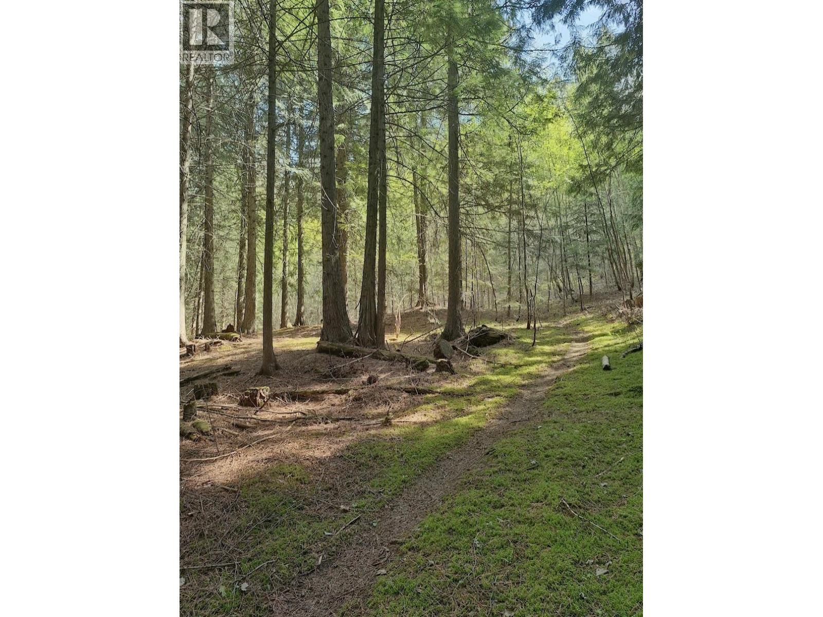 4039 Zapp Road, Canyon, British Columbia  V0B 1C1 - Photo 38 - 10384095