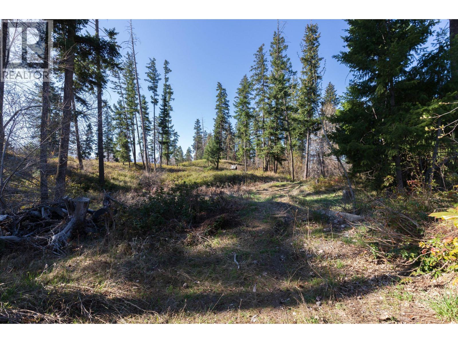 3281 Hall Road, Kelowna, British Columbia  V1W 2V1 - Photo 4 - 10386307
