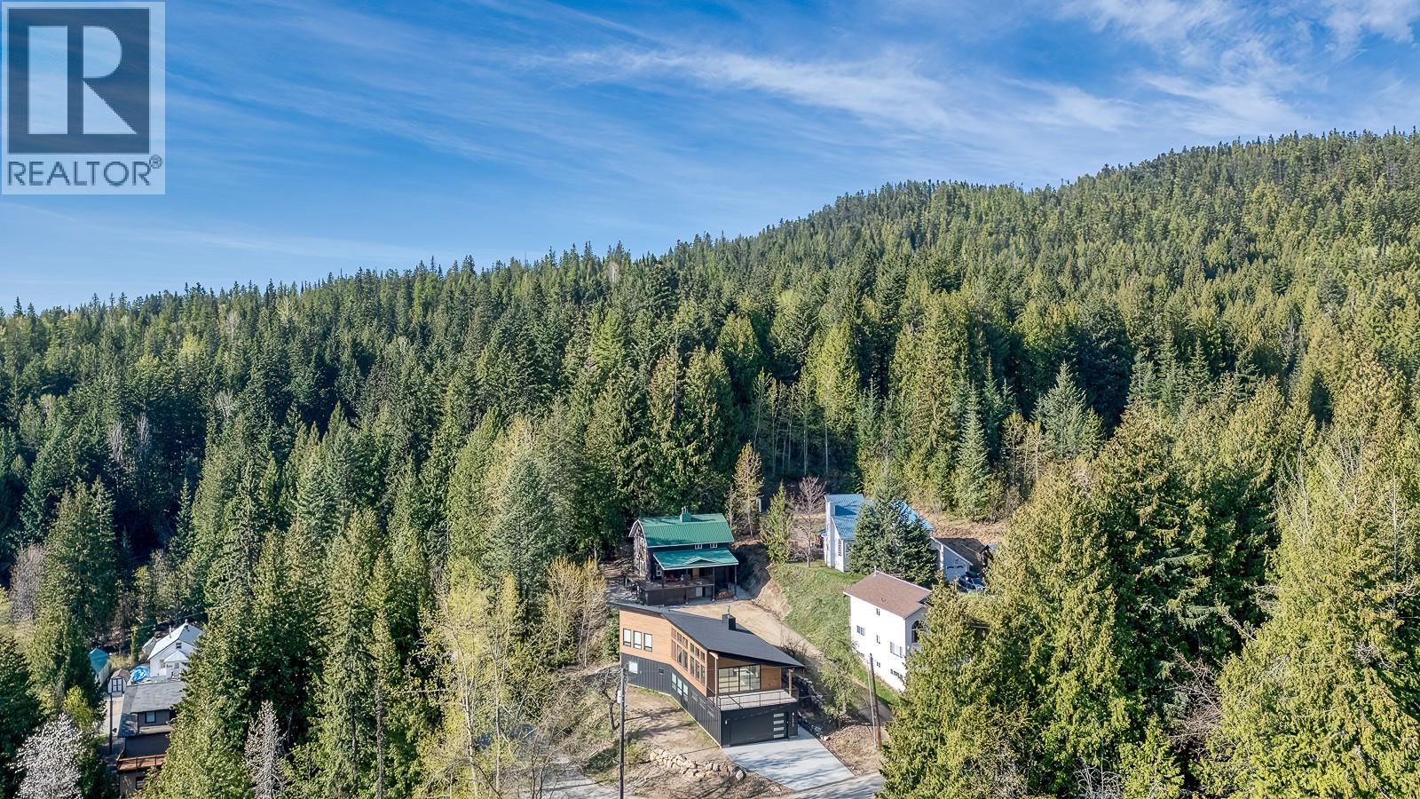 1285 Black Bear Drive, Rossland, British Columbia  V0G 1Y0 - Photo 8 - 10382939