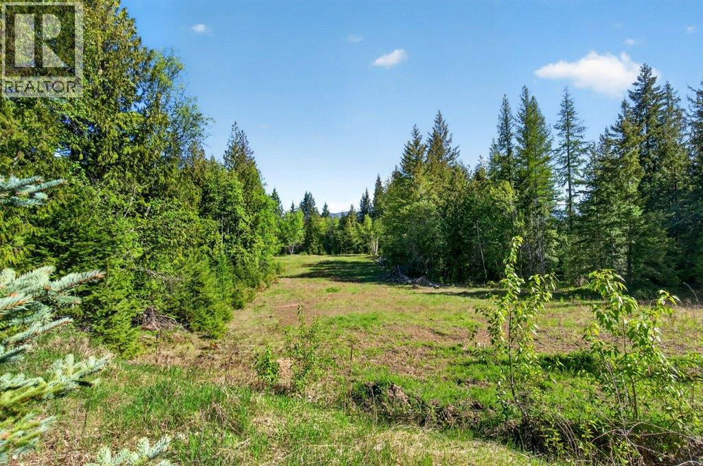 22 Crossman Road, Enderby, British Columbia  V0E 1V3 - Photo 75 - 10384703