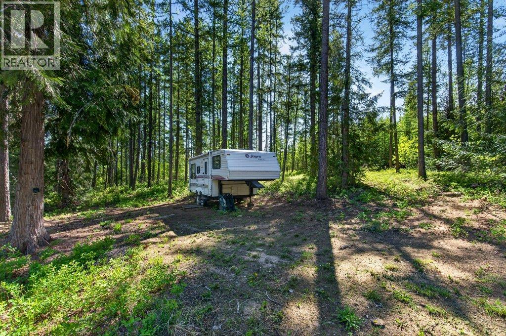 22 Crossman Road, Enderby, British Columbia  V0E 1V3 - Photo 80 - 10384703