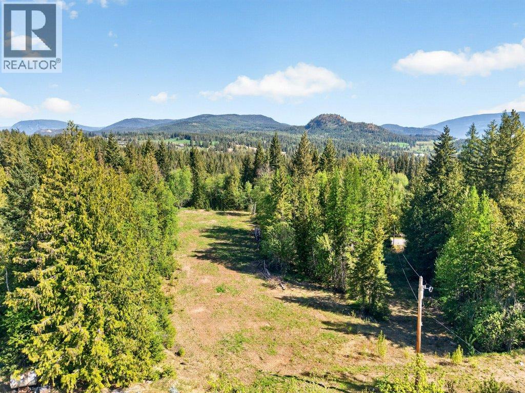 22 Crossman Road, Enderby, British Columbia  V0E 1V3 - Photo 83 - 10384703