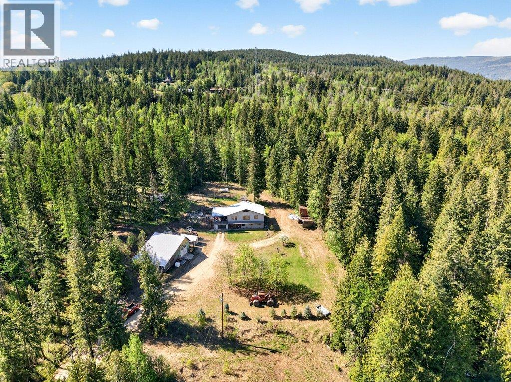 22 Crossman Road, Enderby, British Columbia  V0E 1V3 - Photo 84 - 10384703