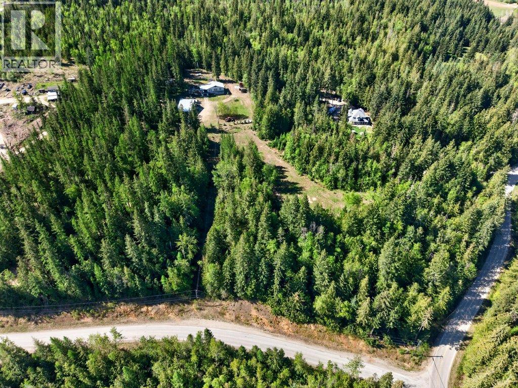 22 Crossman Road, Enderby, British Columbia  V0E 1V3 - Photo 85 - 10384703