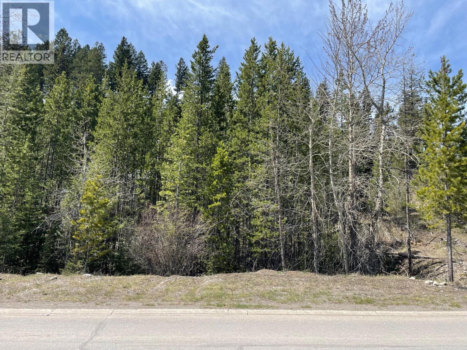 10 Daswon Crescent, Elkford, British Columbia  V0B 1H0 - Photo 2 - 10386229