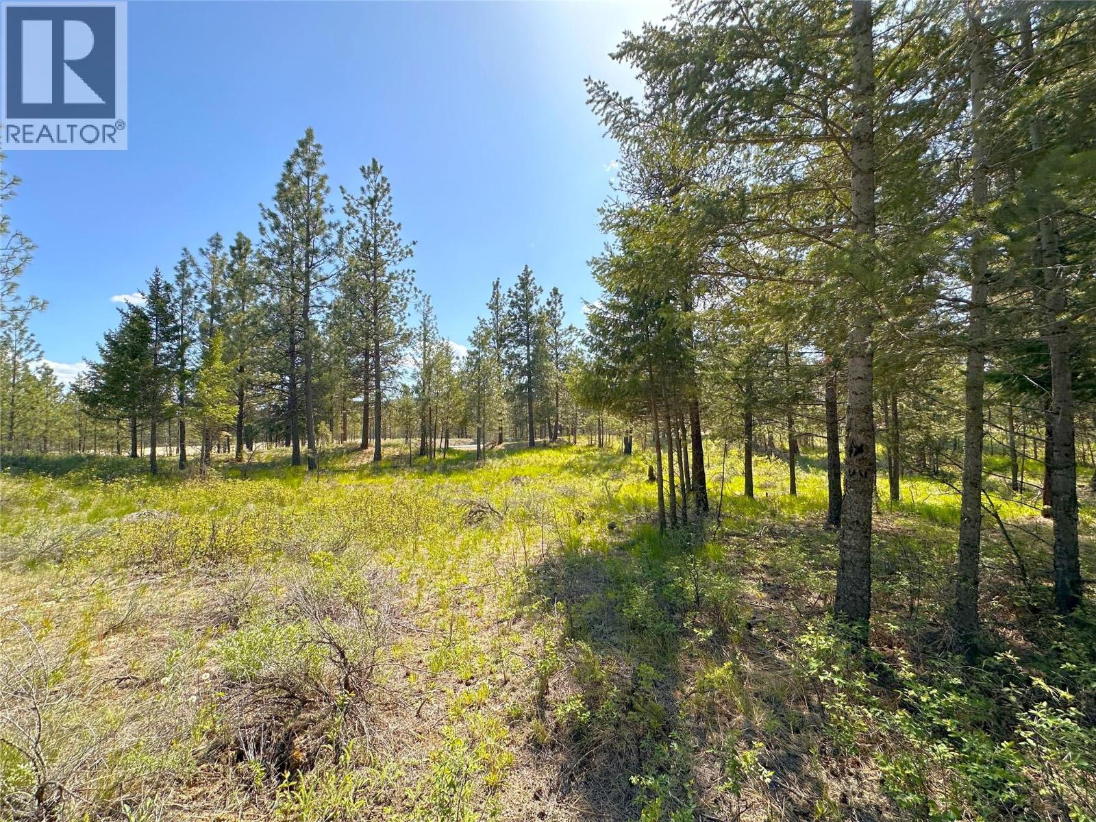 121 Corral Boulevard, Cranbrook, British Columbia  V1C 0C2 - Photo 3 - 10386170
