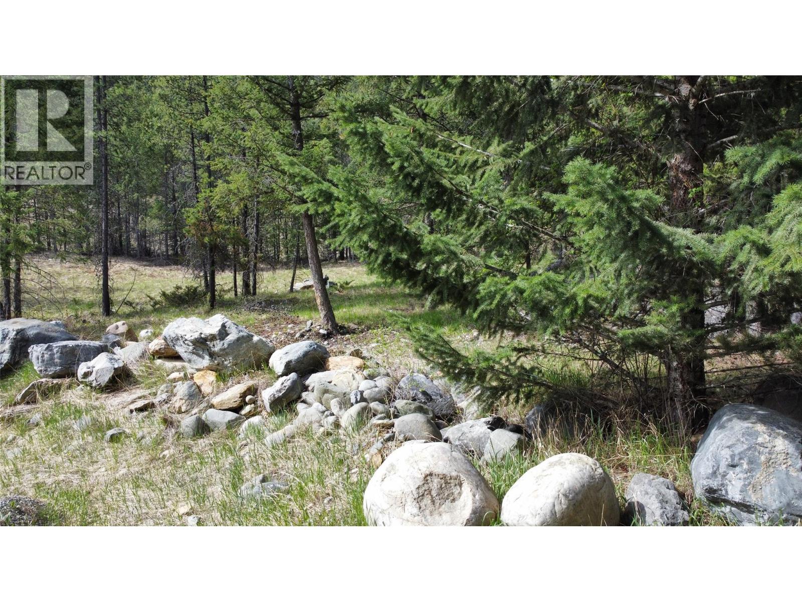 2482 King Street Nw, Cranbrook, British Columbia  V1C 6S7 - Photo 23 - 10386505