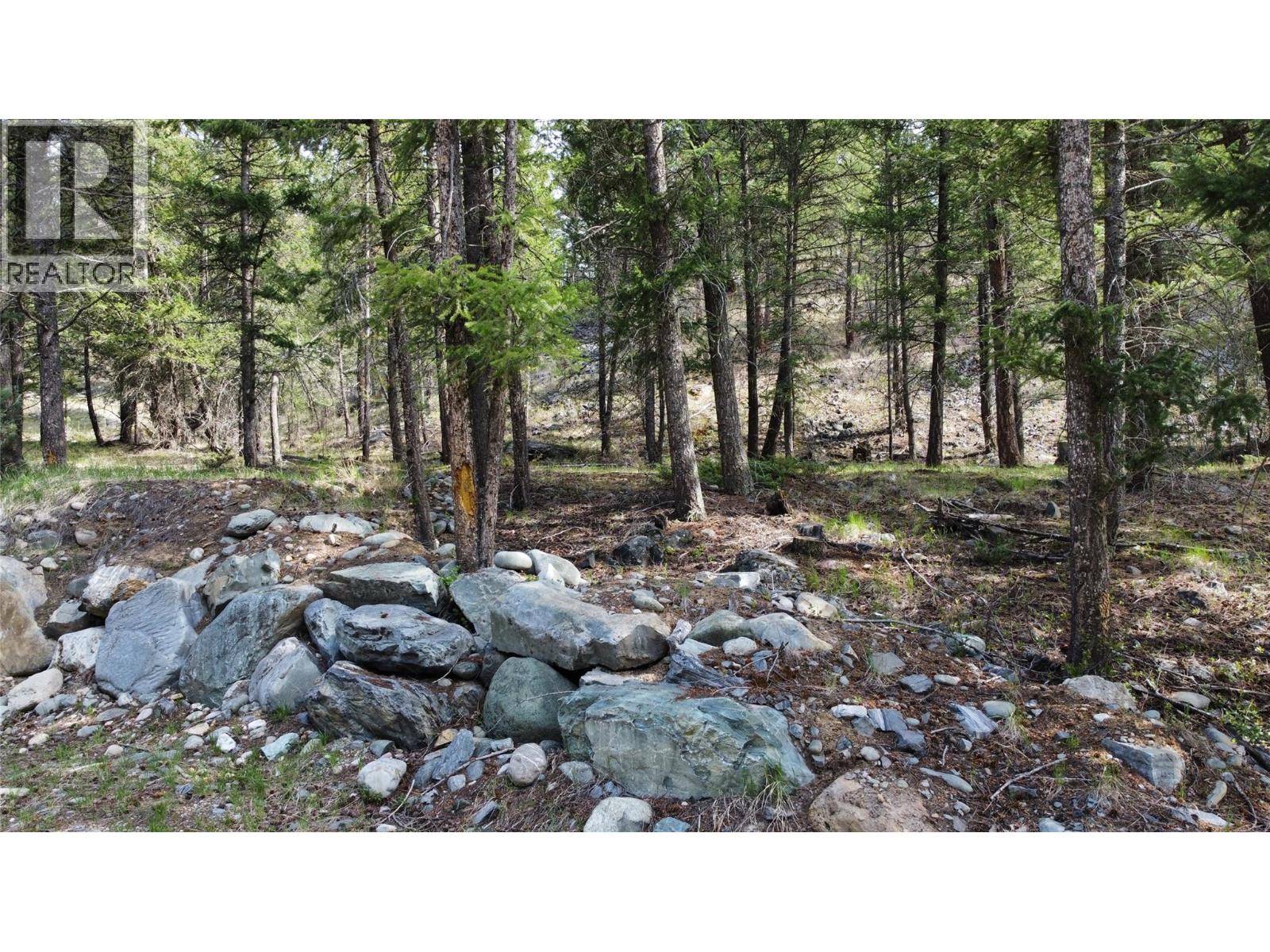 2482 King Street Nw, Cranbrook, British Columbia  V1C 6S7 - Photo 29 - 10386505