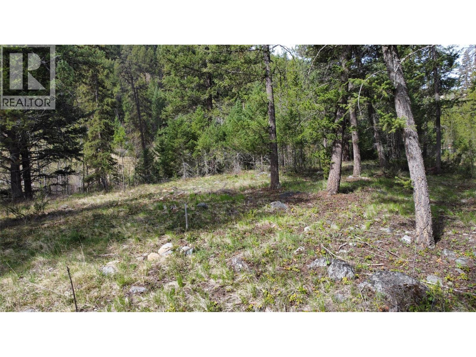 2482 King Street Nw, Cranbrook, British Columbia  V1C 6S7 - Photo 30 - 10386505