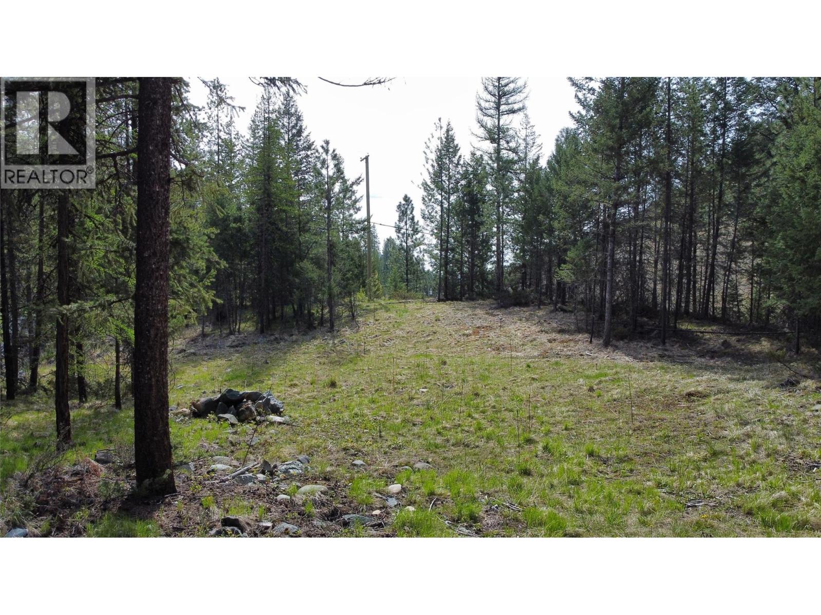 2482 King Street Nw, Cranbrook, British Columbia  V1C 6S7 - Photo 37 - 10386505