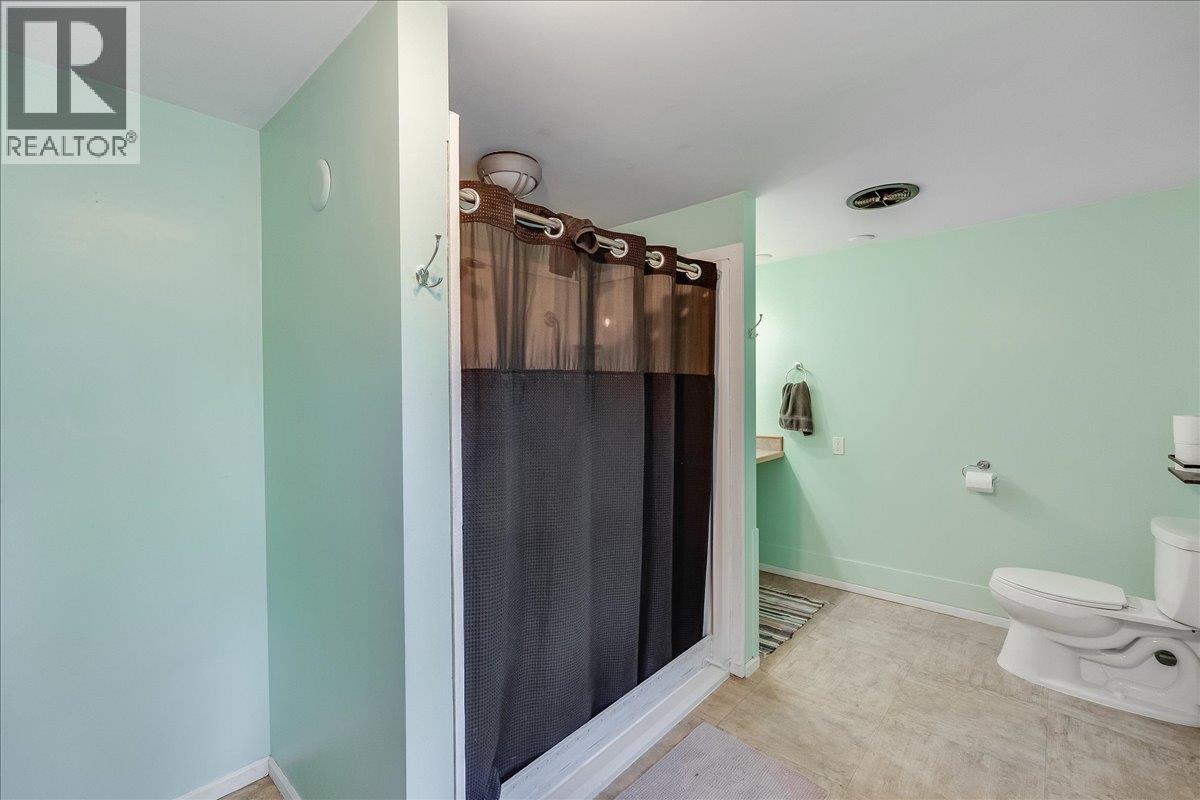 8749 6 Highway, Silverton, British Columbia  V0G 2B0 - Photo 22 - 10386137