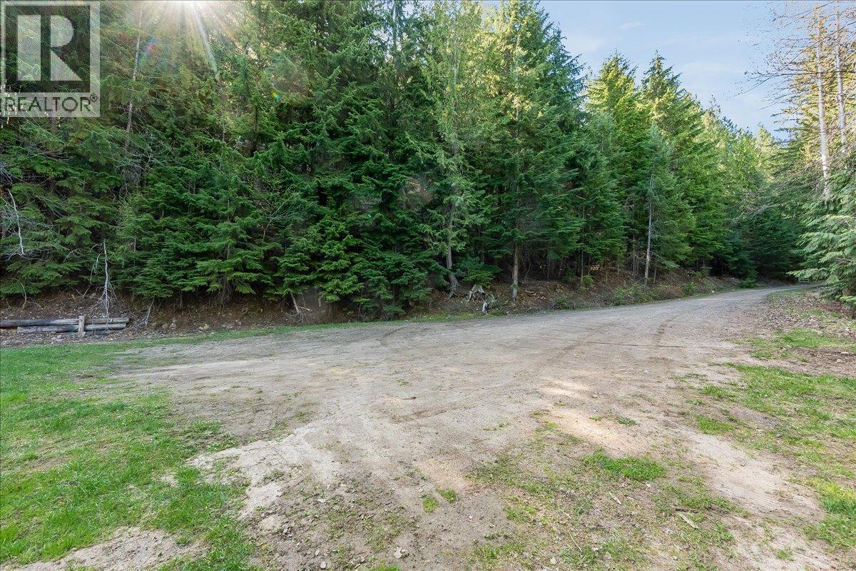 8749 6 Highway, Silverton, British Columbia  V0G 2B0 - Photo 38 - 10386137