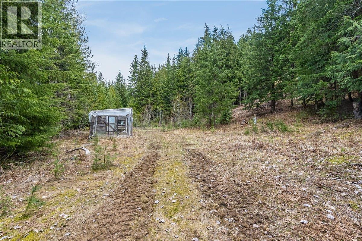 8749 6 Highway, Silverton, British Columbia  V0G 2B0 - Photo 39 - 10386137
