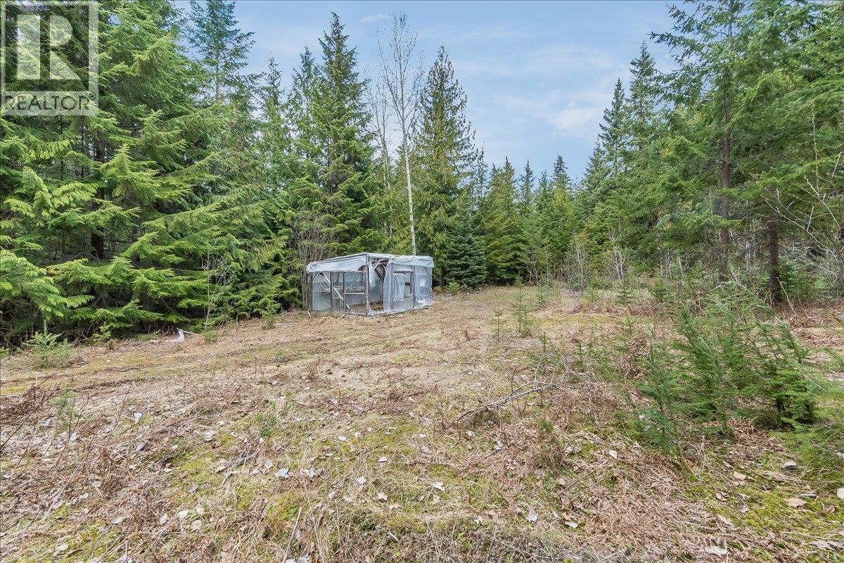 8749 6 Highway, Silverton, British Columbia  V0G 2B0 - Photo 40 - 10386137