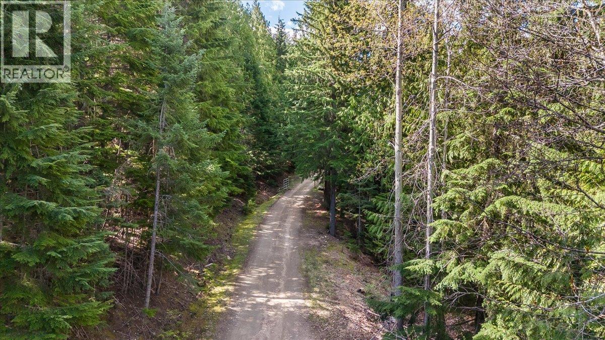 8749 6 Highway, Silverton, British Columbia  V0G 2B0 - Photo 43 - 10386137