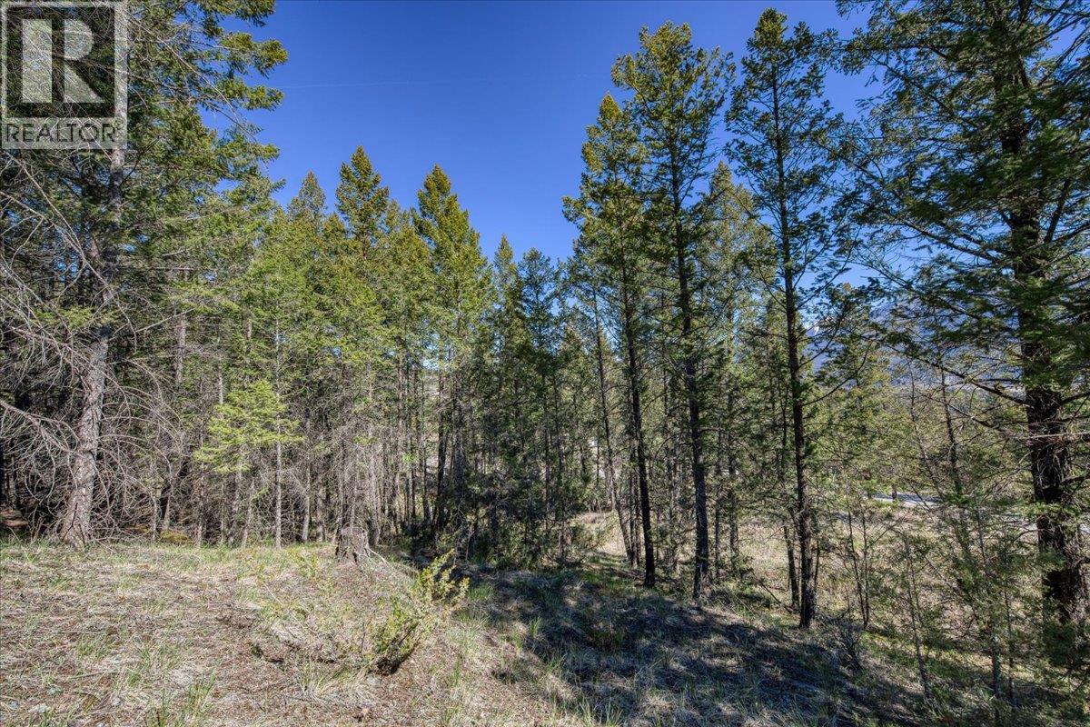 Lot 12 Bella Vista Boulevard, Fairmont Hot Springs, British Columbia  V0B 1L1 - Photo 11 - 10385708