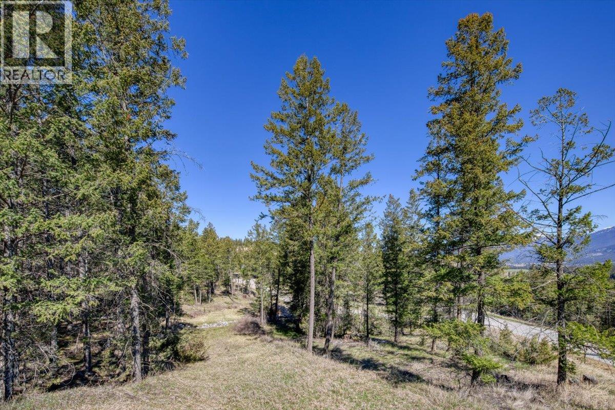 Lot 12 Bella Vista Boulevard, Fairmont Hot Springs, British Columbia  V0B 1L1 - Photo 14 - 10385708