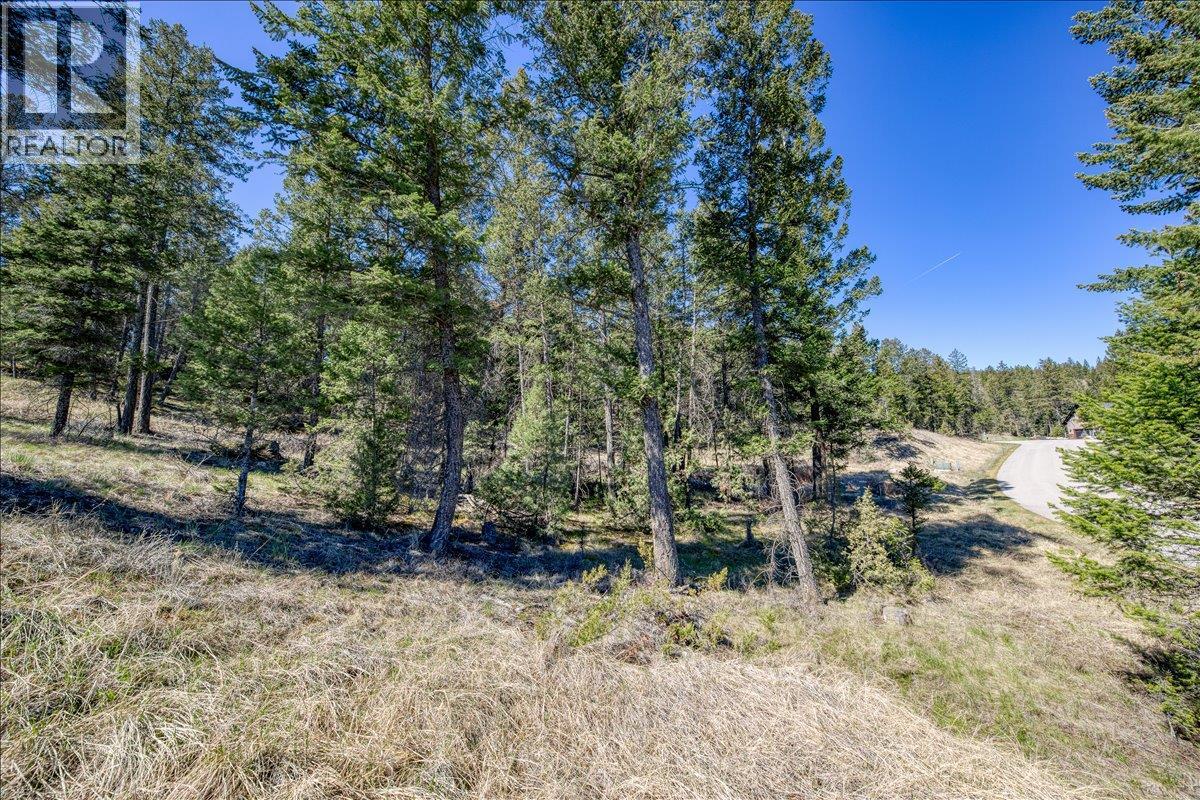 Lot 12 Bella Vista Boulevard, Fairmont Hot Springs, British Columbia  V0B 1L1 - Photo 18 - 10385708