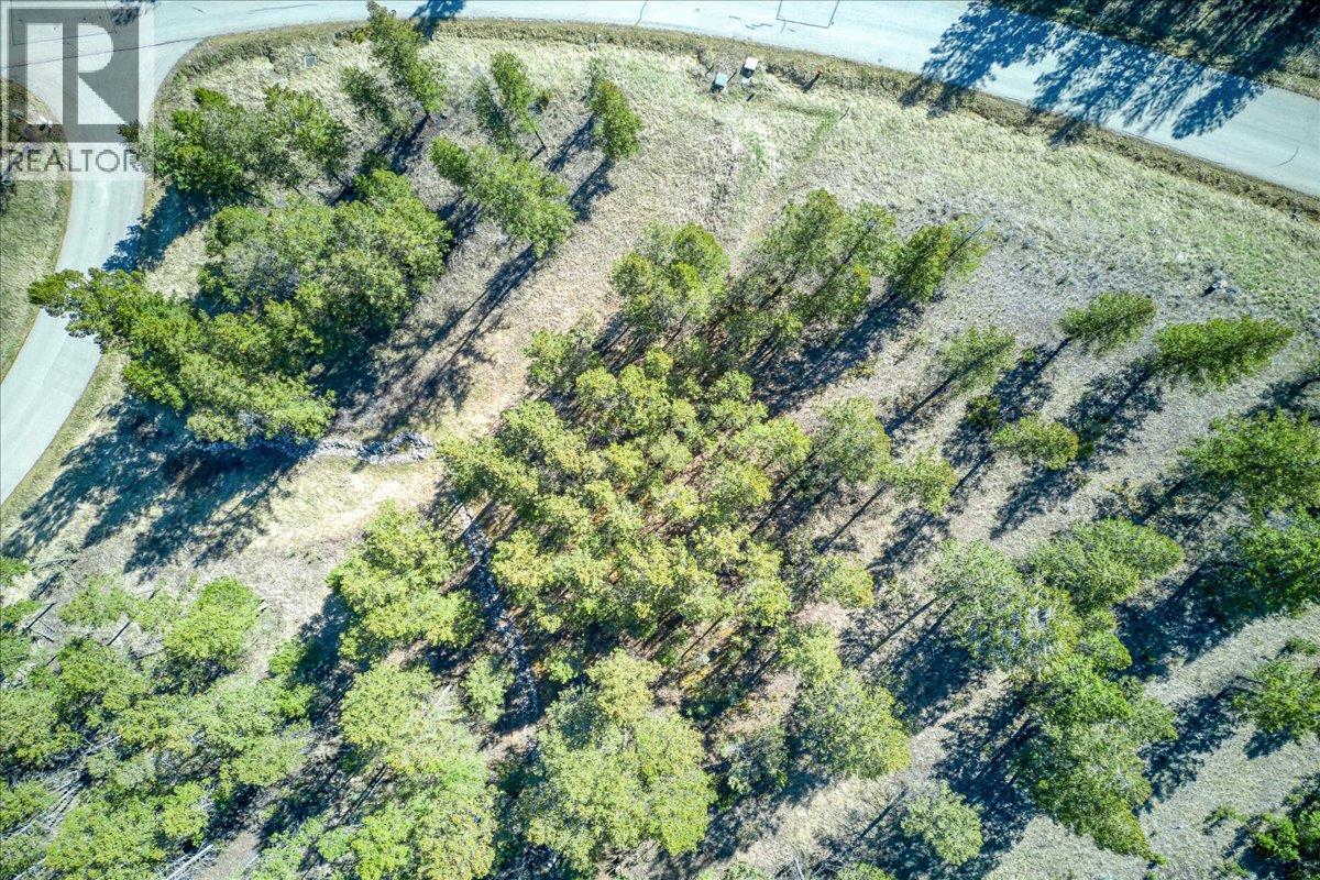 Lot 12 Bella Vista Boulevard, Fairmont Hot Springs, British Columbia  V0B 1L1 - Photo 22 - 10385708