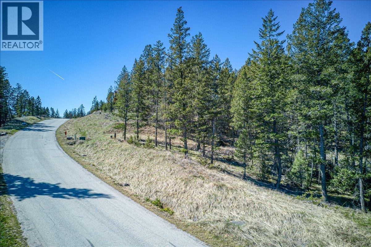 Lot 12 Bella Vista Boulevard, Fairmont Hot Springs, British Columbia  V0B 1L1 - Photo 23 - 10385708