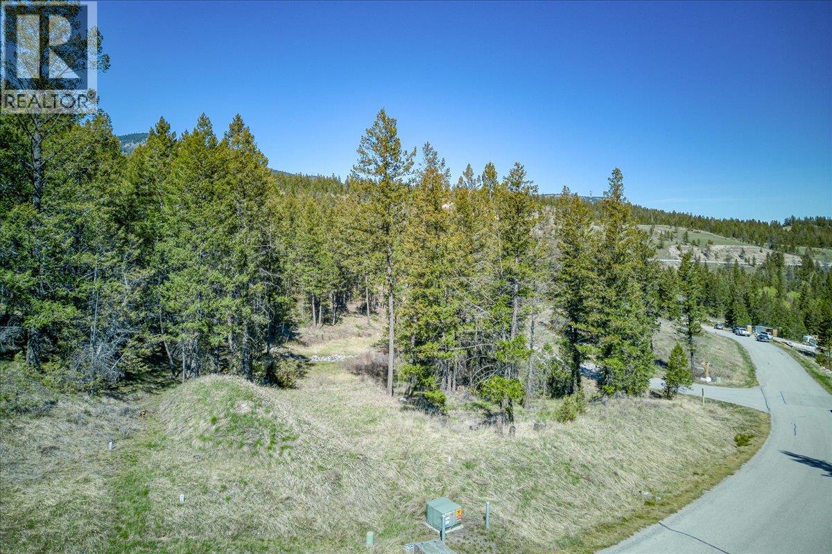 Lot 12 Bella Vista Boulevard, Fairmont Hot Springs, British Columbia  V0B 1L1 - Photo 24 - 10385708