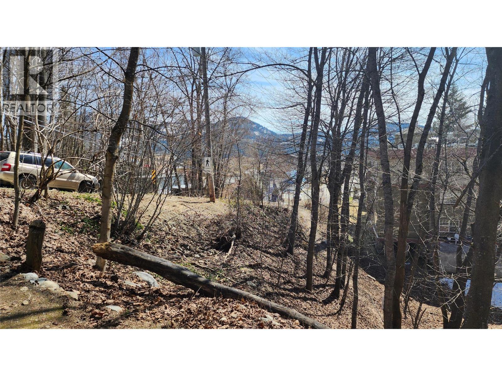 2165 Spokane Street, Rossland, British Columbia  V0G 1Y0 - Photo 28 - 10386465