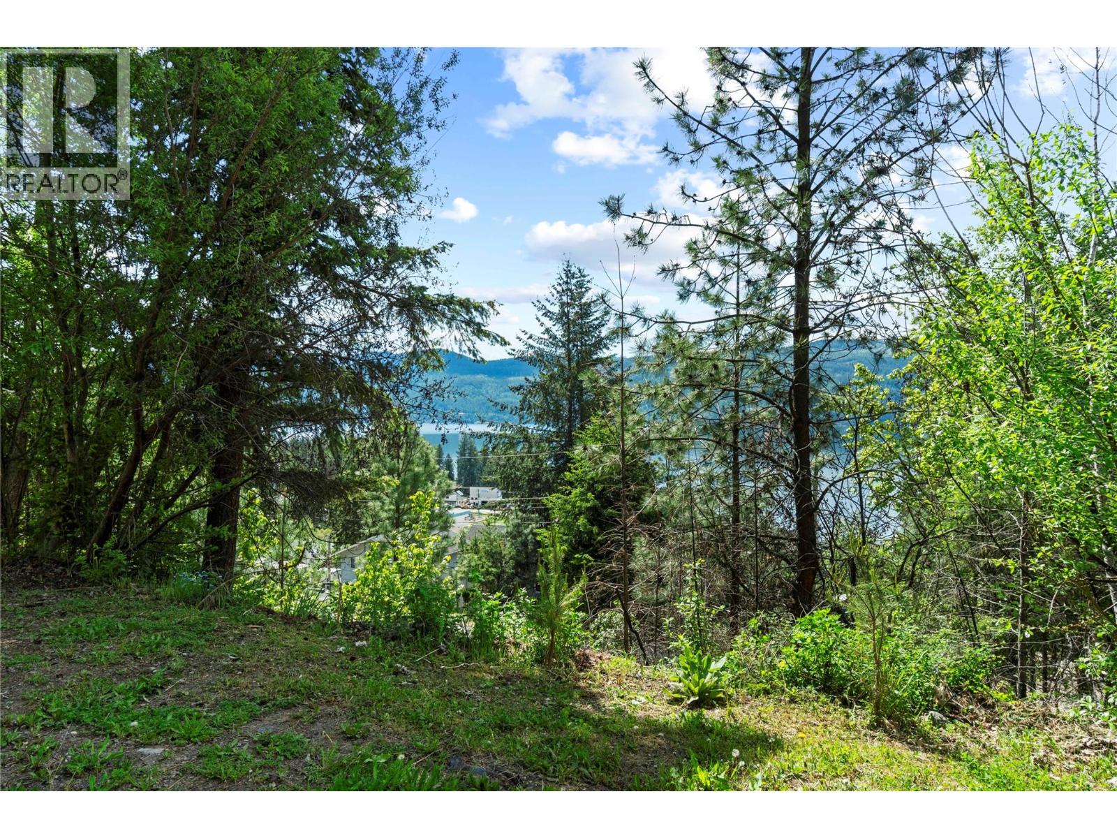 Lot 24 Hlina Road, Celista, British Columbia  V0E 1M6 - Photo 4 - 10386610