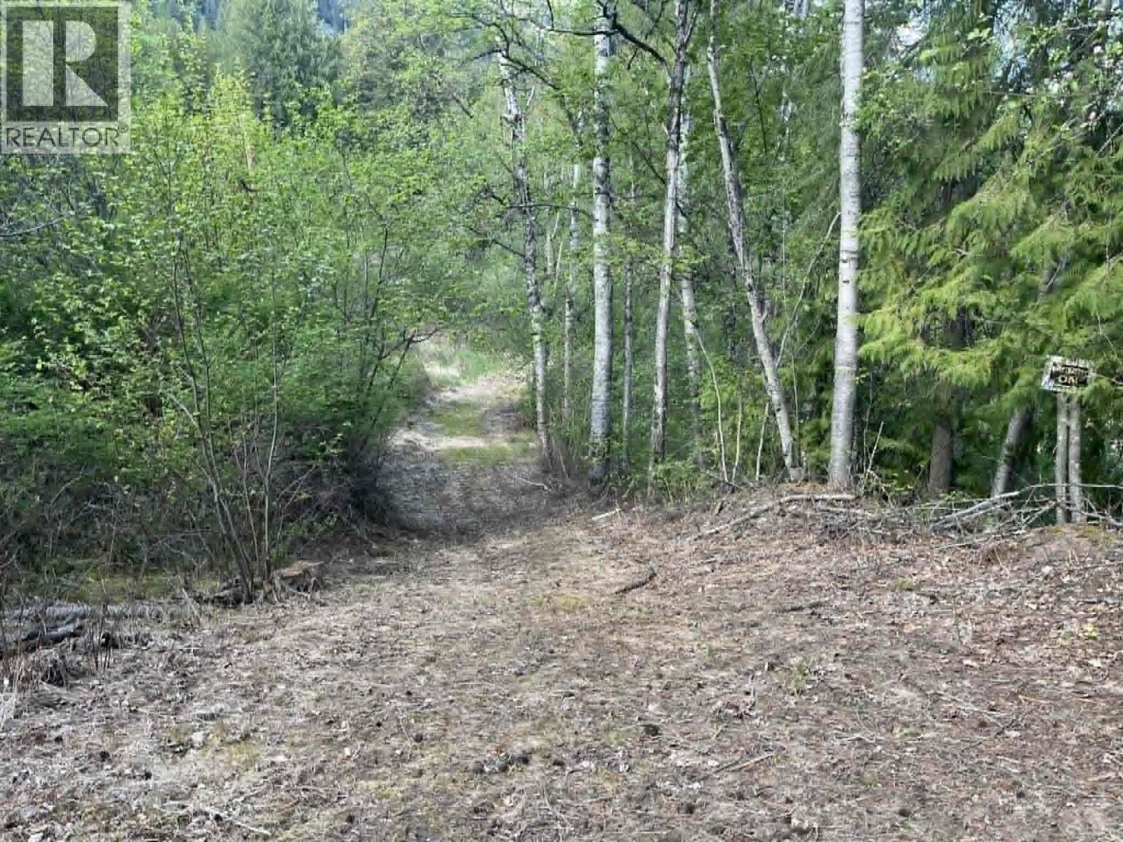 4421 Slocan River Road, Winlaw, British Columbia  V0G 2J0 - Photo 33 - 10385949
