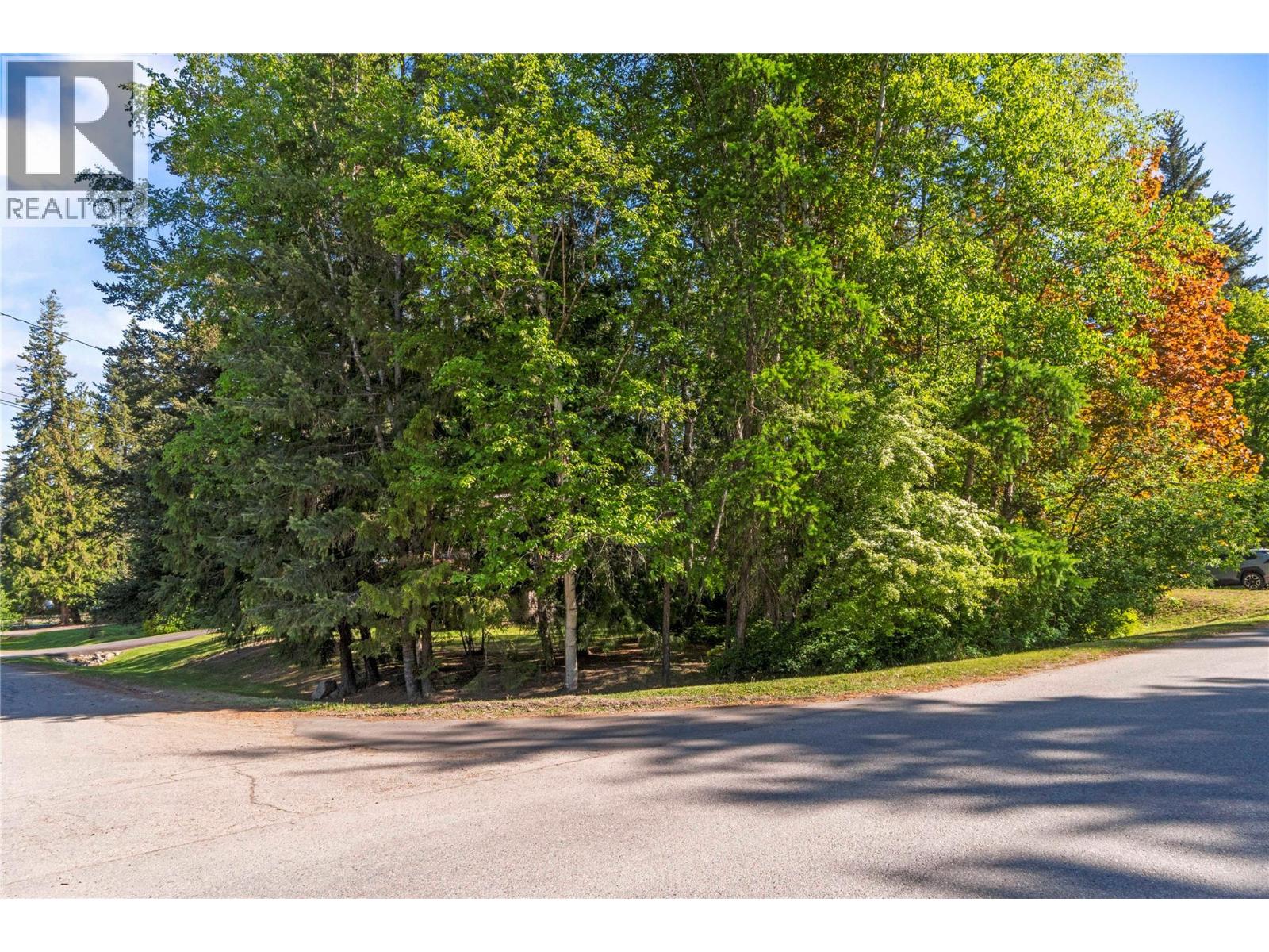 170 25th Street Ne, Salmon Arm, British Columbia  V1E 2A8 - Photo 62 - 10384030