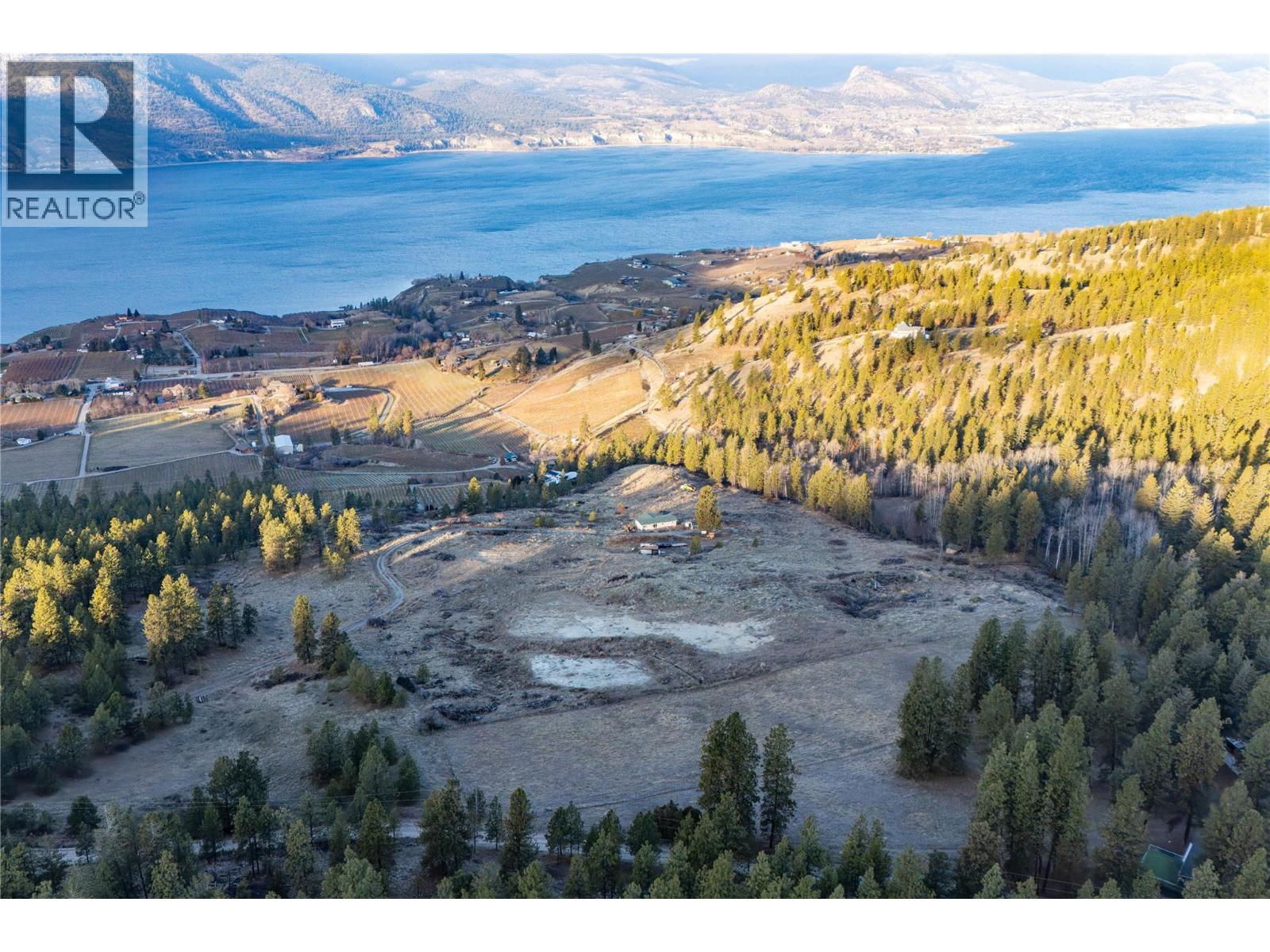 1201 Spiller Road, Penticton, British Columbia  V0H 1N0 - Photo 3 - 10386283