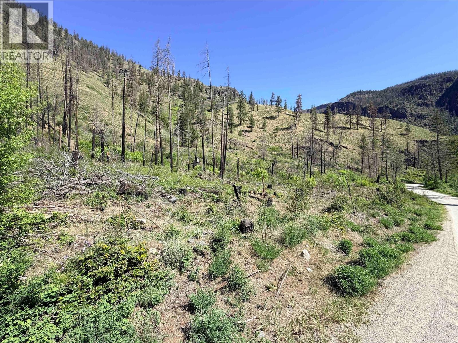 Green Mountain Road Lot# 530s, Keremeos, British Columbia  V0X 1N6 - Photo 10 - 10386681