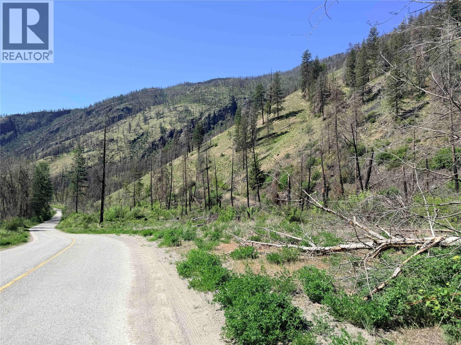 Green Mountain Road Lot# 530s, Keremeos, British Columbia  V0X 1N6 - Photo 11 - 10386681