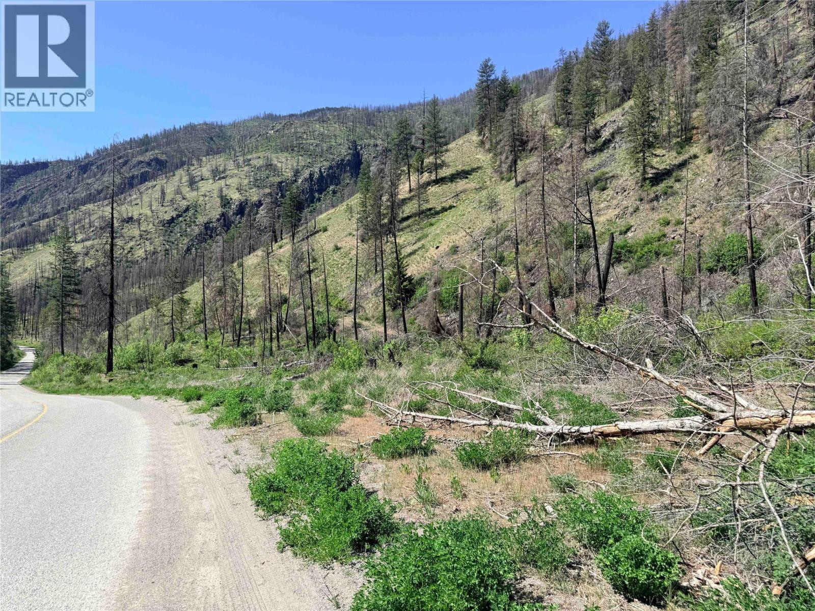 Green Mountain Road Lot# 530s, Keremeos, British Columbia  V0X 1N6 - Photo 12 - 10386681