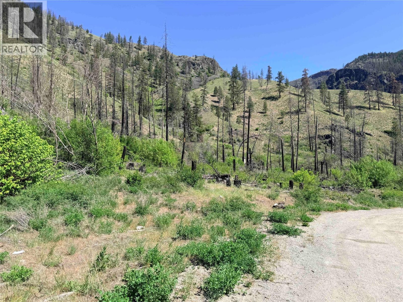 Green Mountain Road Lot# 530s, Keremeos, British Columbia  V0X 1N6 - Photo 13 - 10386681
