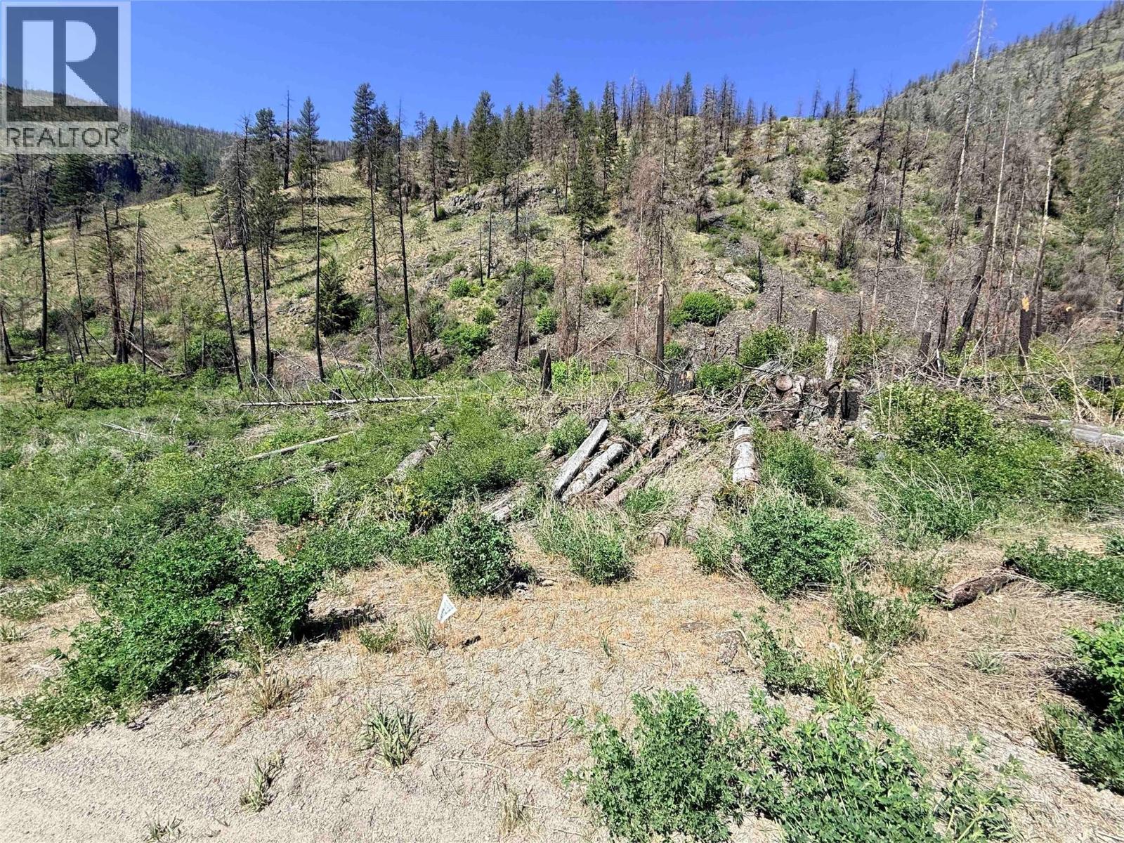 Green Mountain Road Lot# 530s, Keremeos, British Columbia  V0X 1N6 - Photo 14 - 10386681