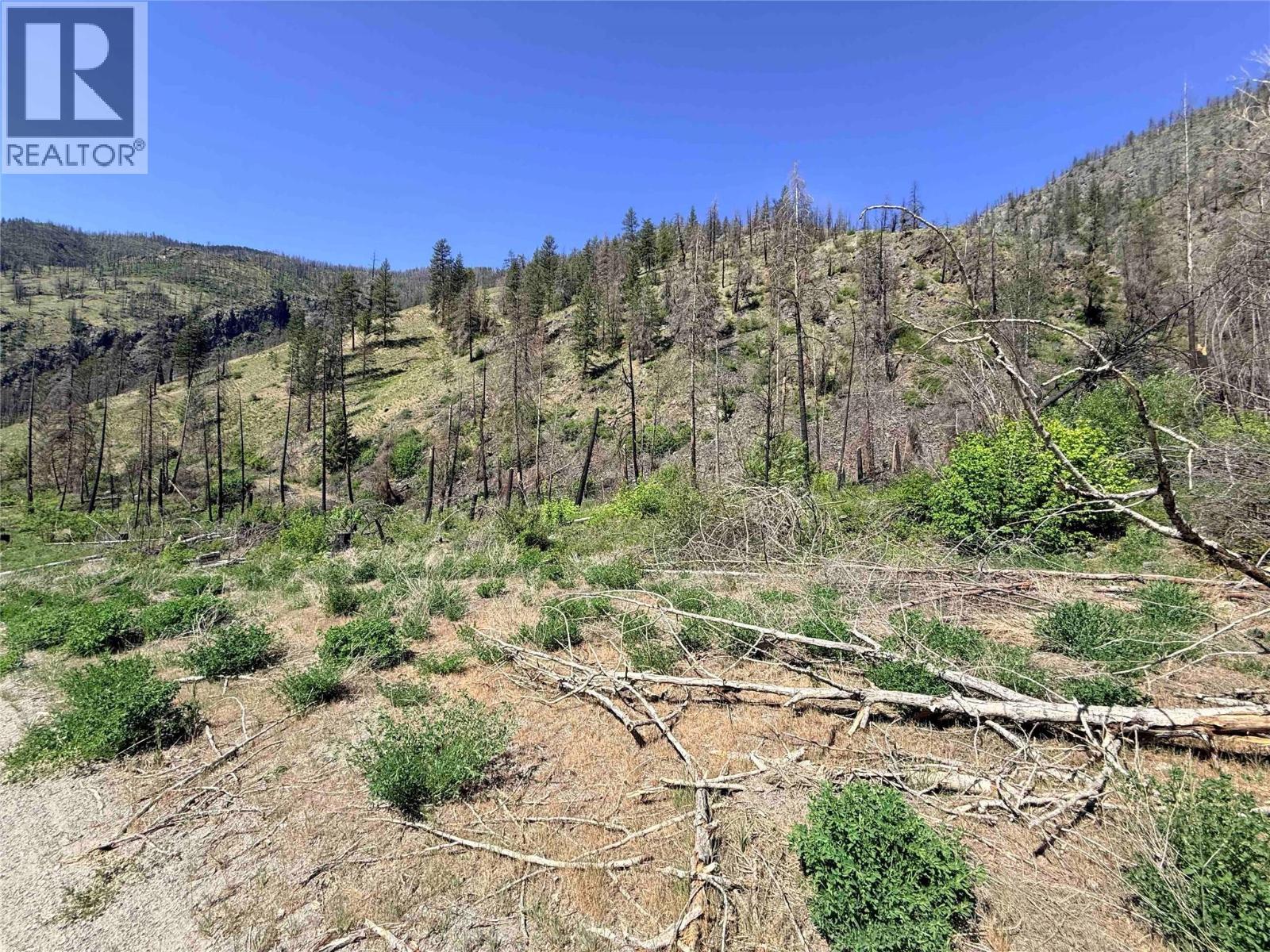 Green Mountain Road Lot# 530s, Keremeos, British Columbia  V0X 1N6 - Photo 18 - 10386681