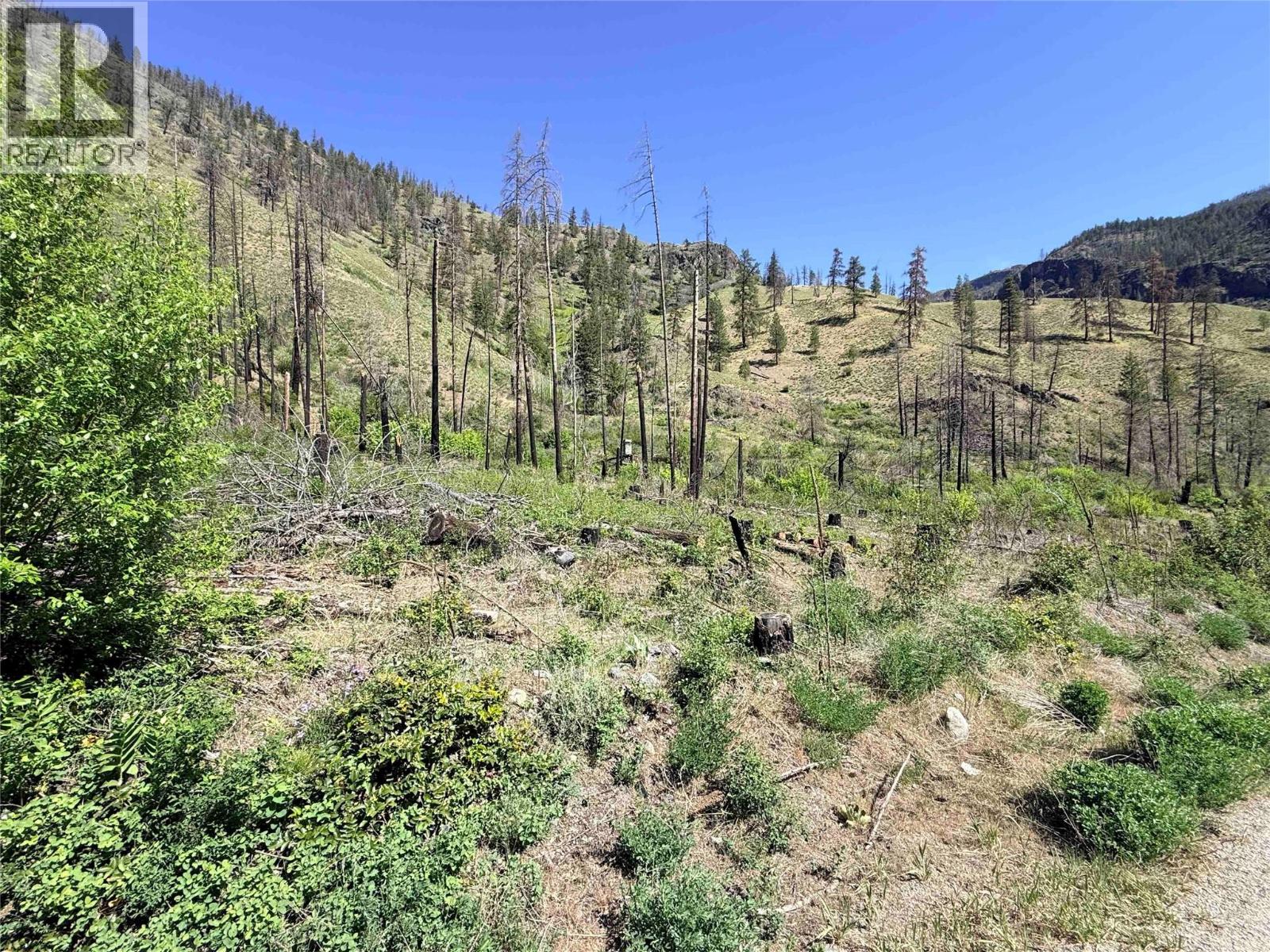 Green Mountain Road Lot# 530s, Keremeos, British Columbia  V0X 1N6 - Photo 2 - 10386681