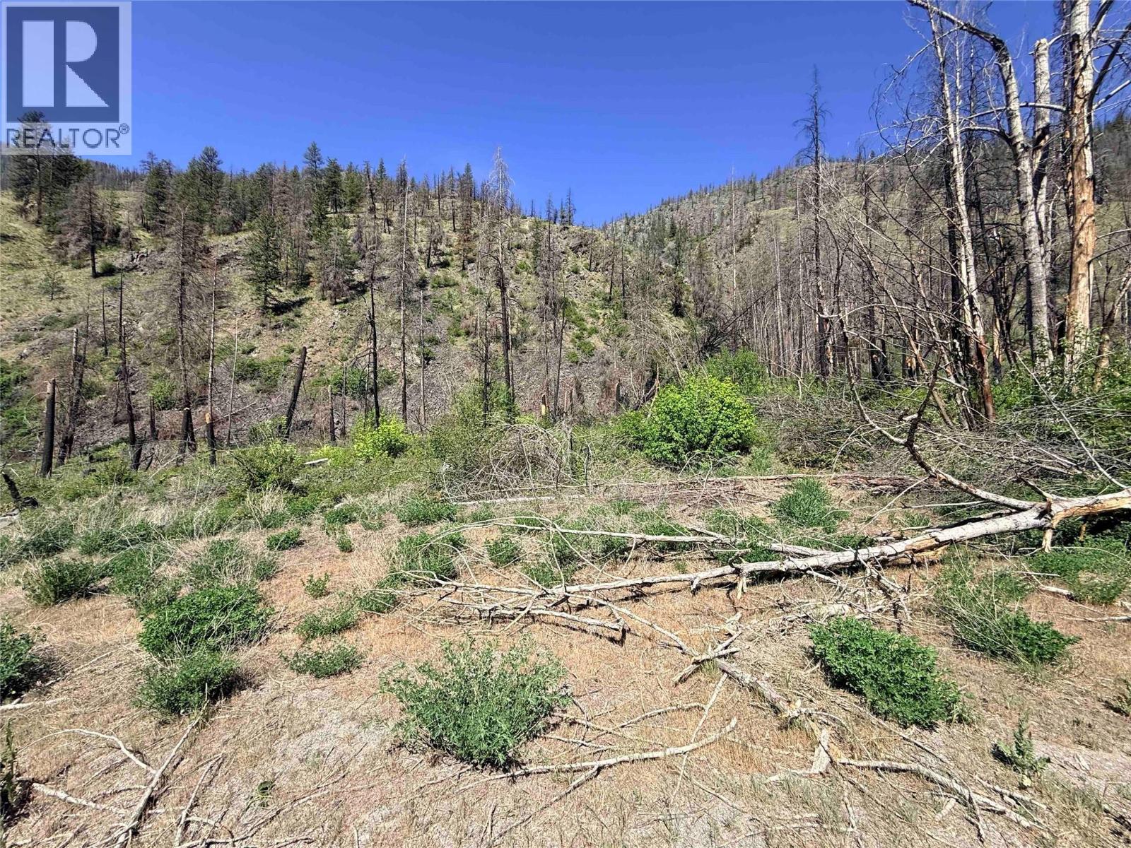 Green Mountain Road Lot# 530s, Keremeos, British Columbia  V0X 1N6 - Photo 3 - 10386681