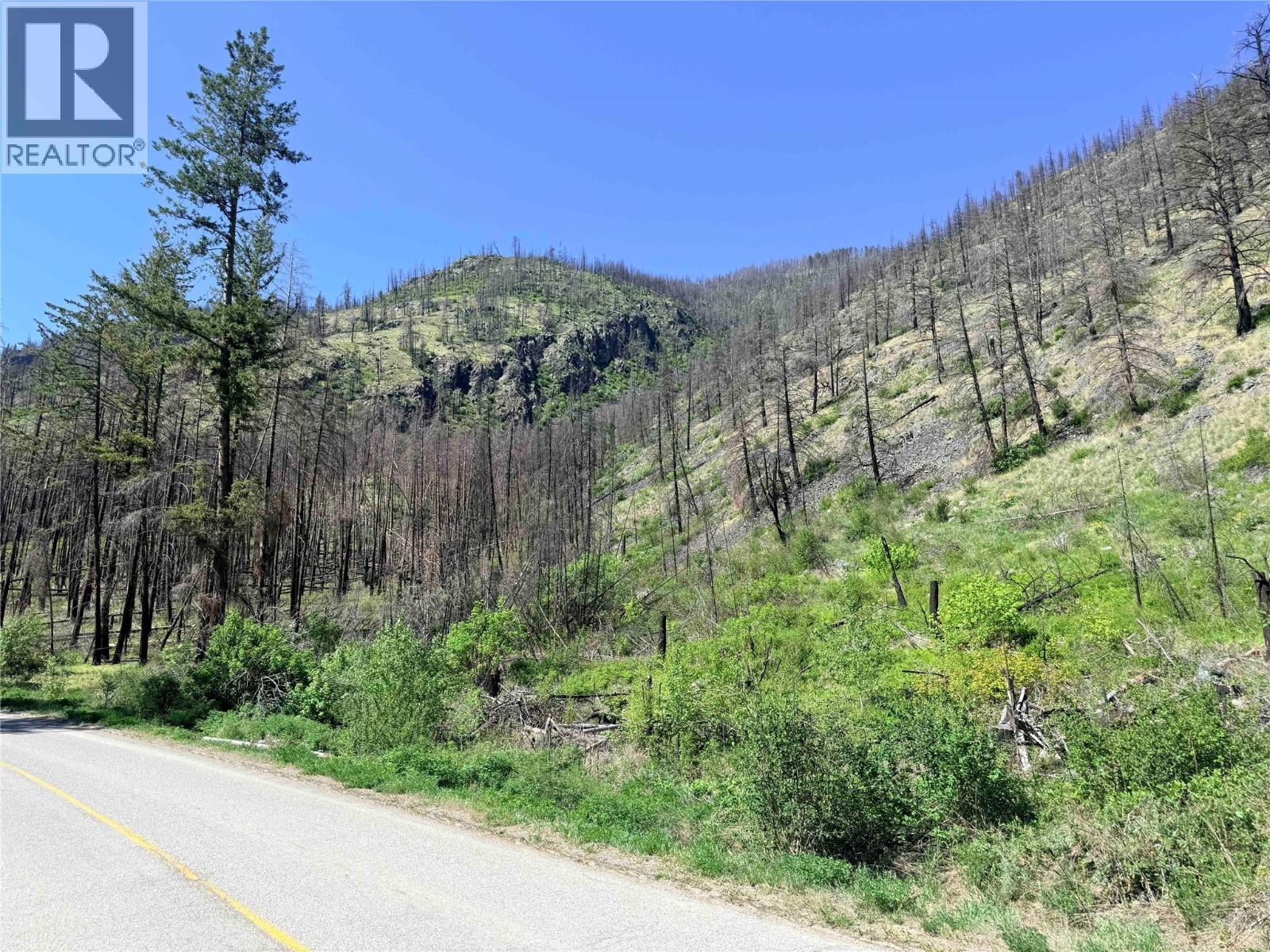 Green Mountain Road Lot# 530s, Keremeos, British Columbia  V0X 1N6 - Photo 4 - 10386681