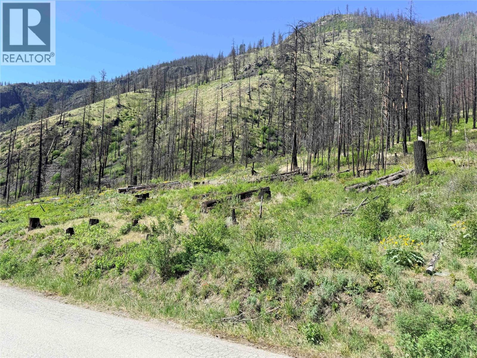 Green Mountain Road Lot# 530s, Keremeos, British Columbia  V0X 1N6 - Photo 5 - 10386681