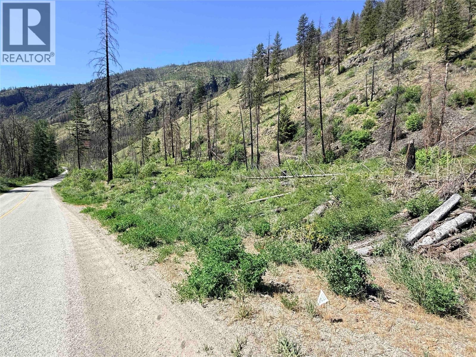 Green Mountain Road Lot# 530s, Keremeos, British Columbia  V0X 1N6 - Photo 7 - 10386681