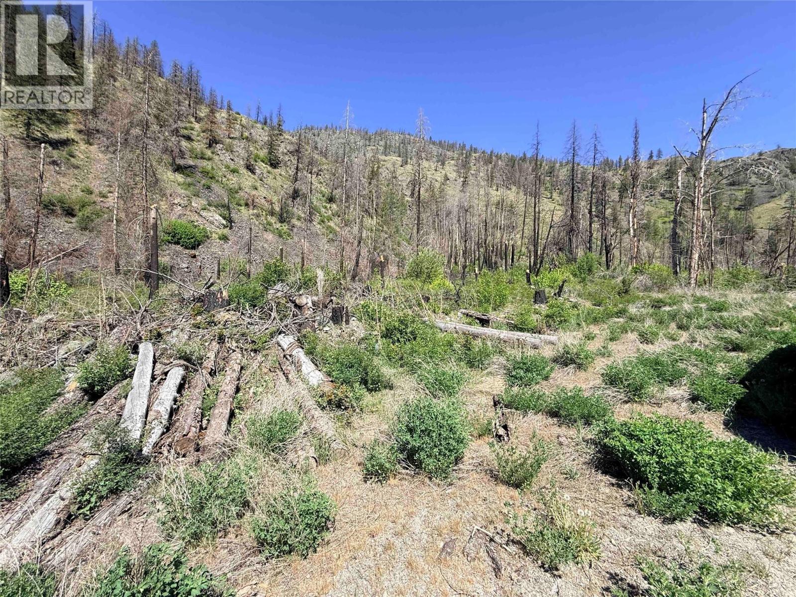 Green Mountain Road Lot# 530s, Keremeos, British Columbia  V0X 1N6 - Photo 8 - 10386681